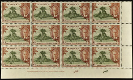 1951 6c Olive & Chestnut 'A' OF 'CA' MISSING FROM WATERMARK Within Never Hinged Mint Lower Right Corner Block Of Twelve  - Dominique (...-1978)