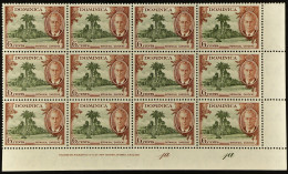 1951 6c Olive & Chestnut 'A' OF 'CA' MISSING FROM WATERMARK Within Never Hinged Mint Lower Right Corner Block Of Twelve  - Dominica (...-1978)