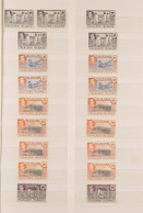 KING GEORGE VI MINT / NEVER HINGED On Stock Book Pages, Includes 1938-50 Pictorials With Shades And Multiples To 2s6d (5 - Islas Malvinas