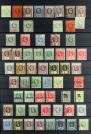 1903 - 1927 DEFINITIVE ISSUES Used On A Stock Book Page, Note 1903 Set To 5s, 1904-09 Set, 1912-23 Set To 5s (Â£1 Fiscal - Fidji (...-1970)