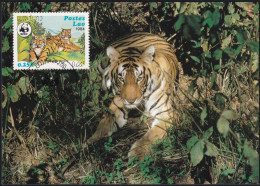 WWF 1984 Postes Lao Tiger Maximumkarte MK/MC - Cartes-maximum