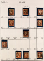 1841 'BLACK PLATE' 2. A Collection Of 50 Different Positions Of The 1d Red-brown Imperfs From Plate 2 Arranged On Specia - Sonstige & Ohne Zuordnung