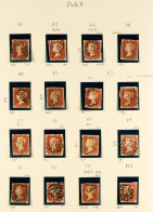 1841 'BLACK PLATE 8. A Collection Of 47 Different Positions Of The 1d Red-brown Imperfs From Plate 8 (incl Several From  - Sonstige & Ohne Zuordnung