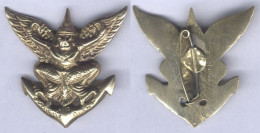 Insigne Du Commandement De L'Air En Extrême Orient ( 41 Mm ) - Airforce