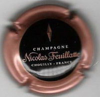 FEUILLATTE Nicolas  N°50b  Lambert - Tome 1  162/31  Contour Rosé, Centre Noir,  E De France Sous A - Feuillate