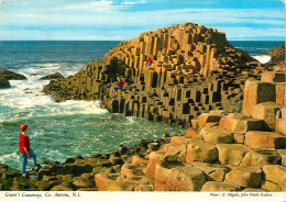 Postcard United Kingdom Ireland Antrim Giant Causeway - Autres & Non Classés