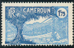 ** CAMEROUN - Other & Unclassified