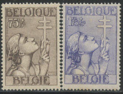 ** BELGIQUE - Unused Stamps
