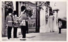 Buckingham Palace Sentries London - Buckingham Palace