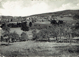 WERPIN-MELREUX : Vue Générale - Photo Véritable - Hotton