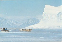 Greenland Postcard Sent To Denmark Dundas 27-2-1984 Dog Sled - Greenland