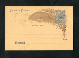 "ARGENTINIEN" Fruehe Postkarte "50 REIS" ** (1610) - Entiers Postaux