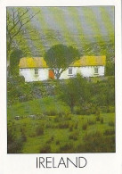 AK 178440 IRELAND - Irish Cottage - Autres & Non Classés
