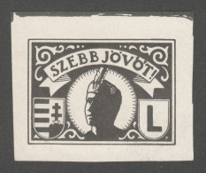 Levente Paramilitary NAZI Youth Organization WW2 WAR HUNGARY 1941 Label Vignette Cinderella - Sonstige & Ohne Zuordnung