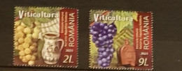 ROMANIA VITICULTURE   SET USED - Usati