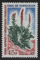 TAAF 1972 - Mi-Nr. 81 ** - MNH - Kerguelenkohl - Neufs