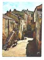 Delcampe - CORSE - CALVI - Yvon éd. VIEILLES MAISONS Dans La BASSE VILLE - Calvi