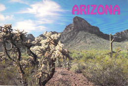 Pinal - Picacho Peak - Autres & Non Classés