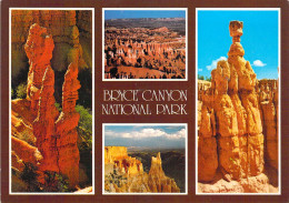 Utah - Bryce Canyon National Park - Multivues - Bryce Canyon