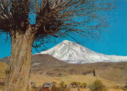 Iran Mount Damavand Old Postcard - Iran