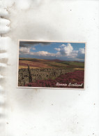 THE LAMMERMUIR HILLS - Berwickshire