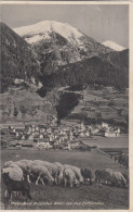 D7956) BAD HOFGASTEIN - Von Der Pyrkerhöhe Mit Schafen Im Vordergrund 1931 - Bad Hofgastein