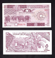 SOMALIA 5 SHILLING 1983 PIK 31A SPL-QFDS - Somalië