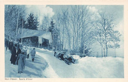 Mont Pélerin Sur Vevey Sport D'hiver Luge Bobsleigt - Vevey