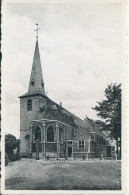 St Amands Aan Schelde - De Kerk  - Sint-Amands