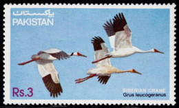 Pakistan 1983, Vögel/Birds/Oiseaux: Nonnenkranich/Barn Crane/Grue Nonnette (Grus Leucogranus), MiNr. 593 - Gru & Uccelli Trampolieri