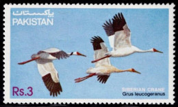 Pakistan 1983, Vögel/Birds/Oiseaux: Nonnenkranich/Barn Crane/Grue Nonnette (Grus Leucogranus), MiNr. 593 - Kraanvogels En Kraanvogelachtigen