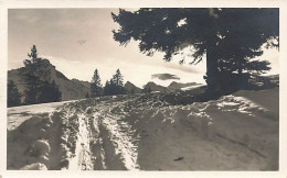 Paysage D'hiver Winter Cachet Herisau 1932 - Herisau