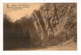 AMAY - Abbaye De Flône - Dans La Montagne. - Amay