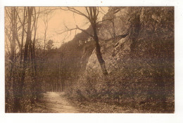 AMAY - Abbaye De Flône - Dans La Montagne. - Amay