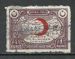 Turkey; 1934 Turkish Red Crescent Charity Stamp - Sellos De Beneficiencia