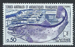 TAAF YT 71 Neuf Sans Charnière - XX - MNH Poisson Fish - Neufs