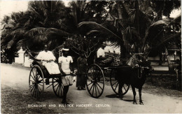 PC CEYLON SRI LANKA ETHNIC TYPES RICKSHAW AND BULLOCK HACKERY (a49708) - Sri Lanka (Ceylon)