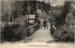 PC CEYLON SRI LANKA NUIVARA ELUJA (a49718) - Sri Lanka (Ceylon)