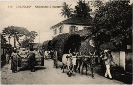 PC CEYLON SRI LANKA COLOMBO BUFFALO CART (a49729) - Sri Lanka (Ceylon)