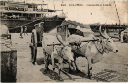 PC CEYLON SRI LANKA COLOMBO BUFFALO CART (a49730) - Sri Lanka (Ceylon)