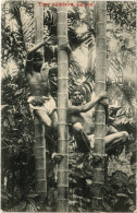 PC CEYLON SRI LANKA ETHNIC TYPES TREE CLIMBERS (a49744) - Sri Lanka (Ceylon)