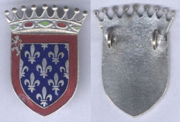 Insigne De L'Escadron De Transport 9-15 Maine ( Fleurs De Lys Argenté ) - Armée De L'air