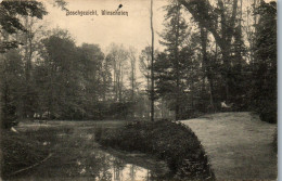 46011 - Niederlande - Winschoten , Boschgezicht - Gelaufen 1911 - Winschoten