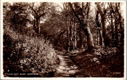 45846 - Großbritannien - Hastings , Fairlight Glen - Gelaufen 1949 - Hastings