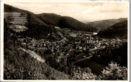 46451 - Deutschland - Zell I. Wiesental , Bad. Schwarzwald , Panorama - Gelaufen 1941 - Lörrach