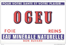 Vieux Papiers > Buvards,  Eau  Minerale Naturelle Ogeu - E