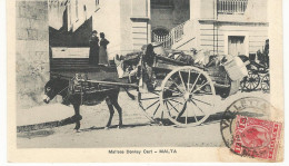 CPA, Malte , N°64211, Maltesse Donkey Cart , Malta - Malte