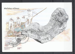 Gronland, Greenland, Maximum Card, Fossils II."Mallotus Villosus"(Capelin), 2009. - Maximum Cards