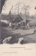 BERENDRECHT 1903 OP HUN GEMAK - BOERDERIJ HOEVE LANDLEVEN - MOOIE ANIMATIE - HOELEN KAPELLEN 663 - ZANDVLIET LILLO - Other & Unclassified