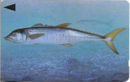 Bahrain - Batelco (GPT) - Fish Of Bahrain - Spanish Mackerel - 39BAHR (Normal 0, Small Cn.), 1996, 50Units, Used - Baharain